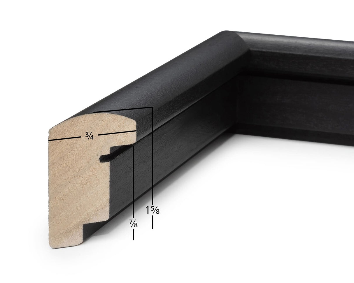 Elite Black Shadowbox Frame