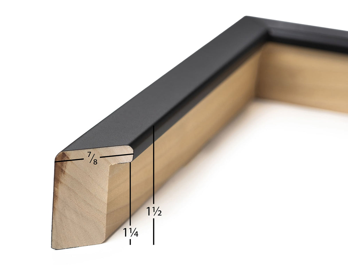 True Depth Black Picture Frame