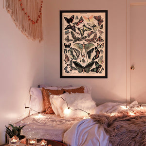 Polystyrene Frames