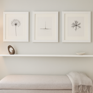 White Frames