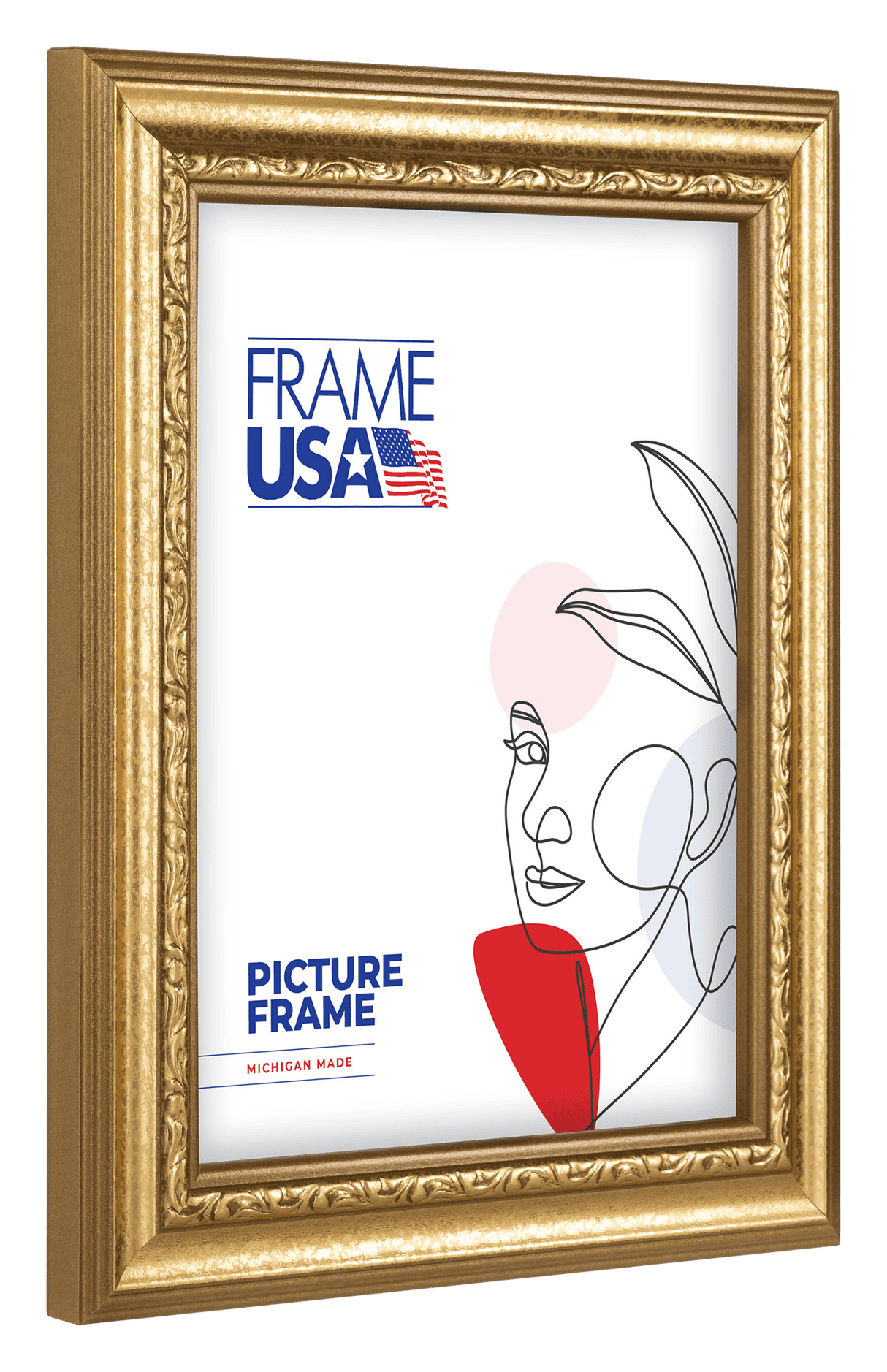 American Value Large Gold #795 Picture Frame