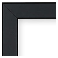 Corporate Thin Samples