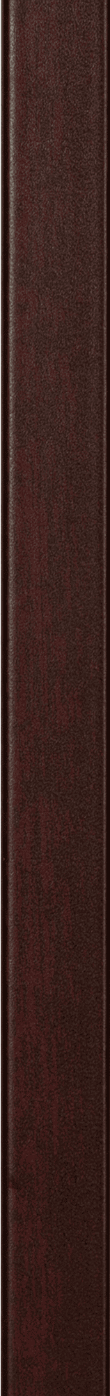 Corporate Thin Samples