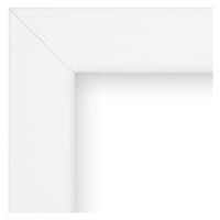 Corporate Thin Samples