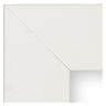 Corporate Wide Samples