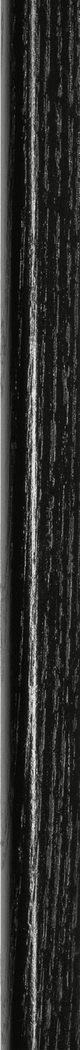 Economy Samples