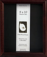 Elite Cherry Shadowbox Frame