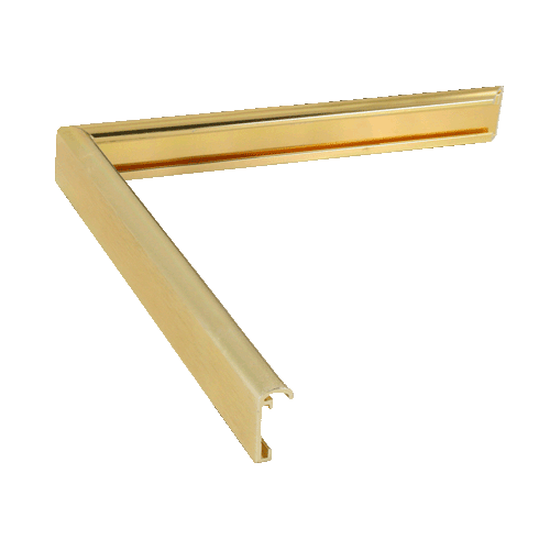 Metal Gold Certificate Frame
