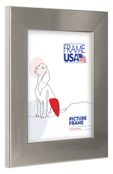 Stainless Wide Picture Frame