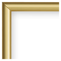 U-Frame Kit II Contrast Gold