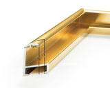 U-Frame Kit II Shiny Gold