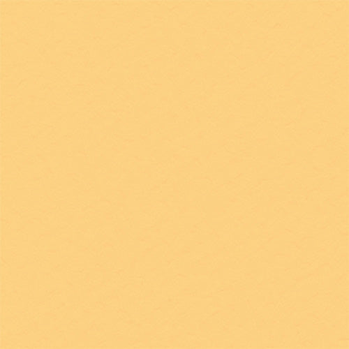 Standard Chamois Mat Sample
